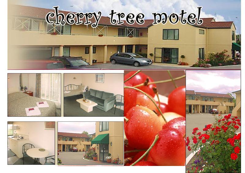 Cherry Tree Lodge Motel Крайстчёрч Экстерьер фото