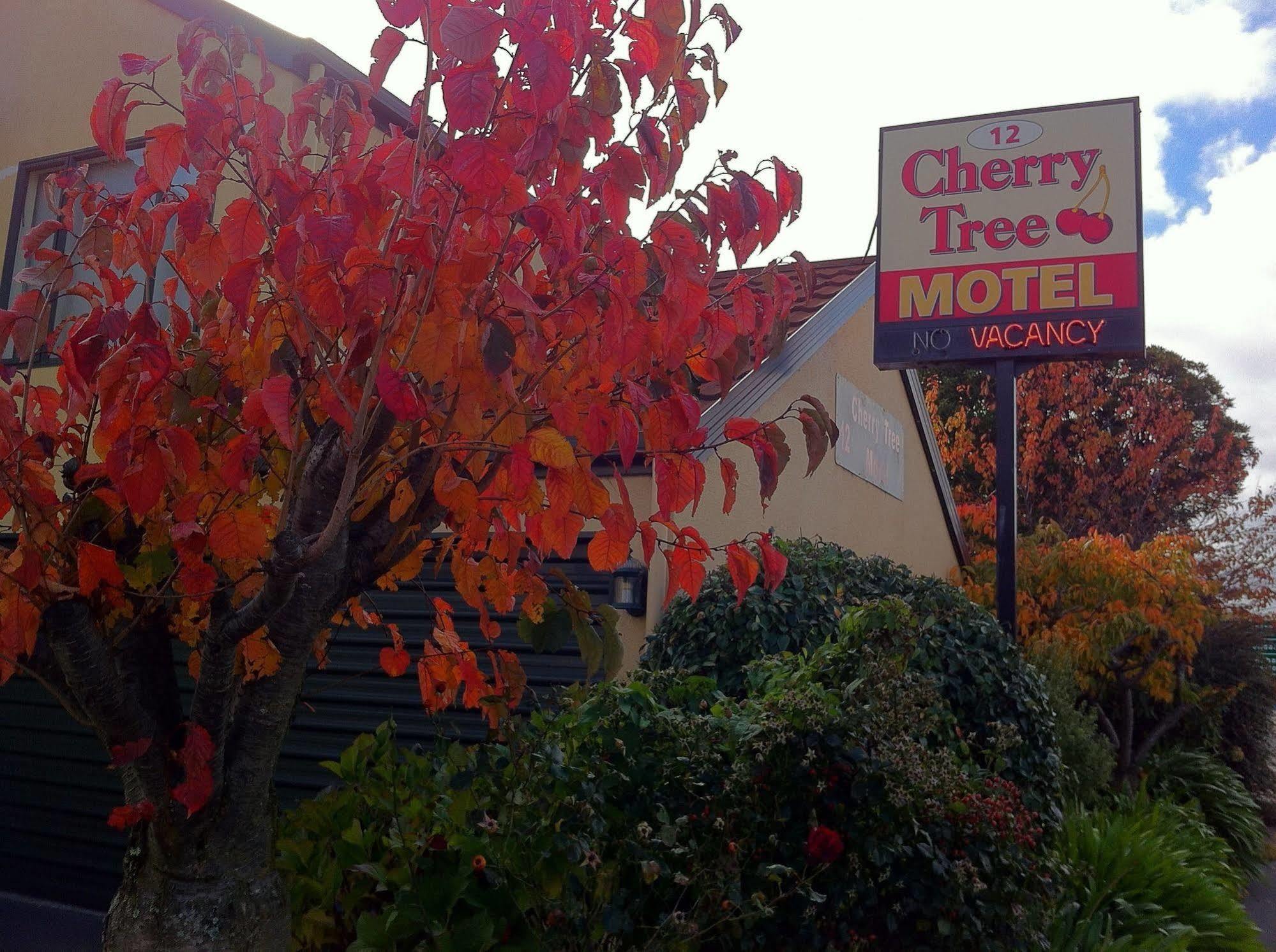 Cherry Tree Lodge Motel Крайстчёрч Экстерьер фото